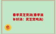 春季灵芝煲汤(春季滋补好汤：灵芝煲鸡汤)