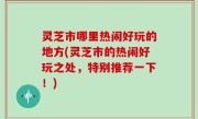 灵芝市哪里热闹好玩的地方(灵芝市的热闹好玩之处，特别推荐一下！)