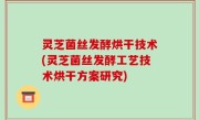 灵芝菌丝发酵烘干技术(灵芝菌丝发酵工艺技术烘干方案研究)