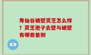 寿仙谷破壁灵芝怎么样？灵芝孢子去壁与破壁有哪些差别