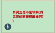 白灵芝是不是软的(白灵芝的软硬程度如何？)