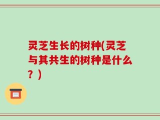 灵芝生长的树种(灵芝与其共生的树种是什么？)