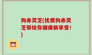 狗赤灵芝(优质狗赤灵芝带给你健康新享受！)