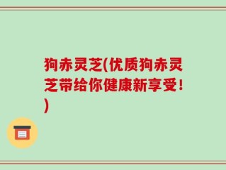 狗赤灵芝(优质狗赤灵芝带给你健康新享受！)