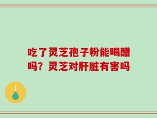 吃了灵芝孢子粉能喝醋吗？灵芝对肝脏有害吗