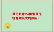 灵芝为什么难种(灵芝培育难度大的原因)