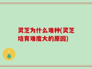 灵芝为什么难种(灵芝培育难度大的原因)