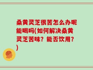桑黄灵芝很苦怎么办呢能喝吗(如何解决桑黄灵芝苦味？能否饮用？)