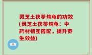 灵芝土茯苓炖龟的功效(灵芝土茯苓炖龟：中药材相互搭配，提升养生效益)