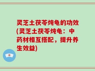 灵芝土茯苓炖龟的功效(灵芝土茯苓炖龟：中药材相互搭配，提升养生效益)