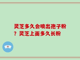 灵芝多久会喷出孢子粉？灵芝上面多久长粉