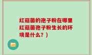 红菇菌的孢子粉在哪里红菇菌孢子粉生长的环境是什么？)