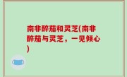 南非醉茄和灵芝(南非醉茄与灵芝，一见倾心)