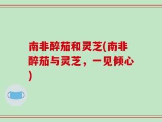 南非醉茄和灵芝(南非醉茄与灵芝，一见倾心)