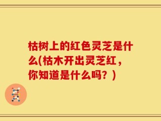 枯树上的红色灵芝是什么(枯木开出灵芝红，你知道是什么吗？)