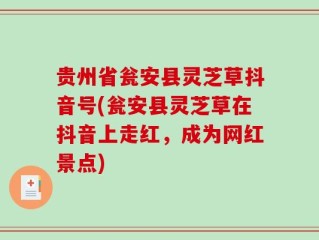 贵州省瓮安县灵芝草抖音号(瓮安县灵芝草在抖音上走红，成为网红景点)