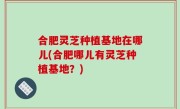 合肥灵芝种植基地在哪儿(合肥哪儿有灵芝种植基地？)
