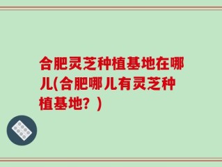 合肥灵芝种植基地在哪儿(合肥哪儿有灵芝种植基地？)