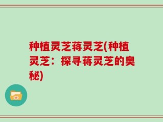 种植灵芝蒋灵芝(种植灵芝：探寻蒋灵芝的奥秘)