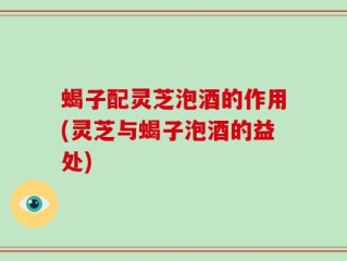 蝎子配灵芝泡酒的作用(灵芝与蝎子泡酒的益处)