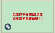 灵芝好不好破壁(灵芝究竟需不需要破壁？)