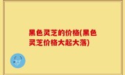 黑色灵芝的价格(黑色灵芝价格大起大落)
