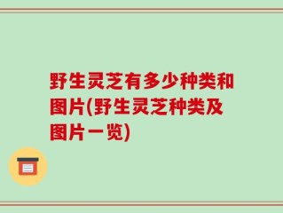 野生灵芝有多少种类和图片(野生灵芝种类及图片一览)
