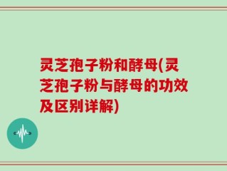 灵芝孢子粉和酵母(灵芝孢子粉与酵母的功效及区别详解)