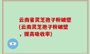 云南省灵芝孢子粉破壁(云南灵芝孢子粉破壁，提高吸收率)