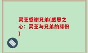 灵芝感谢兄弟(感恩之心：灵芝与兄弟的缘份)