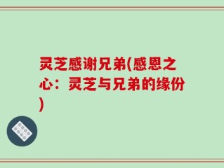 灵芝感谢兄弟(感恩之心：灵芝与兄弟的缘份)