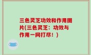 三色灵芝功效和作用图片(三色灵芝：功效与作用一网打尽！)