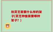 放灵芝需要什么样的架子(灵芝种植需要哪种架子？)
