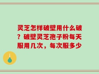 灵芝怎样破壁用什么破？破壁灵芝孢子粉每天服用几次，每次服多少