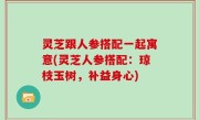 灵芝跟人参搭配一起寓意(灵芝人参搭配：琼枝玉树，补益身心)