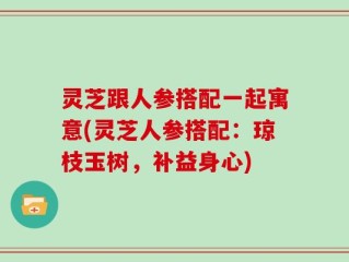 灵芝跟人参搭配一起寓意(灵芝人参搭配：琼枝玉树，补益身心)