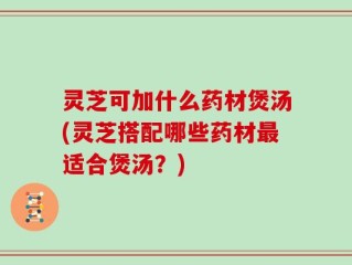 灵芝可加什么药材煲汤(灵芝搭配哪些药材最适合煲汤？)