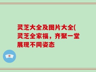 灵芝大全及图片大全(灵芝全家福，齐聚一堂展现不同姿态