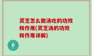 灵芝怎么做汤吃的功效和作用(灵芝汤的功效和作用详解)