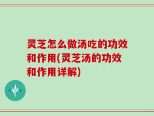 灵芝怎么做汤吃的功效和作用(灵芝汤的功效和作用详解)