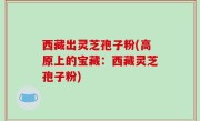 西藏出灵芝孢子粉(高原上的宝藏：西藏灵芝孢子粉)