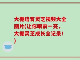 大棚培育灵芝视频大全图片(让你眼前一亮，大棚灵芝成长全记录！)