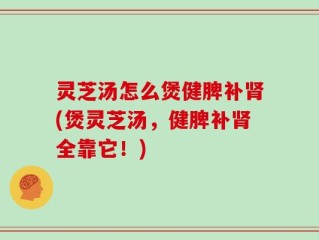 灵芝汤怎么煲健脾补肾(煲灵芝汤，健脾补肾全靠它！)