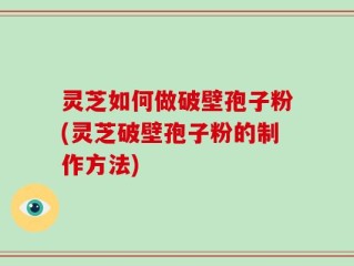 灵芝如何做破壁孢子粉(灵芝破壁孢子粉的制作方法)