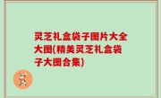 灵芝礼盒袋子图片大全大图(精美灵芝礼盒袋子大图合集)