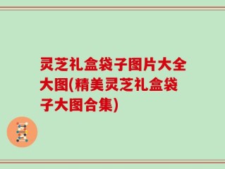 灵芝礼盒袋子图片大全大图(精美灵芝礼盒袋子大图合集)