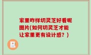 家里咋样切灵芝好看呢图片(如何切灵芝才能让家里更有设计感？)