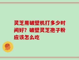 灵芝用破壁机打多少时间好？破壁灵芝孢子粉应该怎么吃