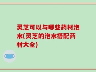 灵芝可以与哪些药材泡水(灵芝的泡水搭配药材大全)