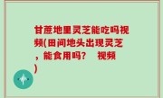 甘蔗地里灵芝能吃吗视频(田间地头出现灵芝，能食用吗？  视频)